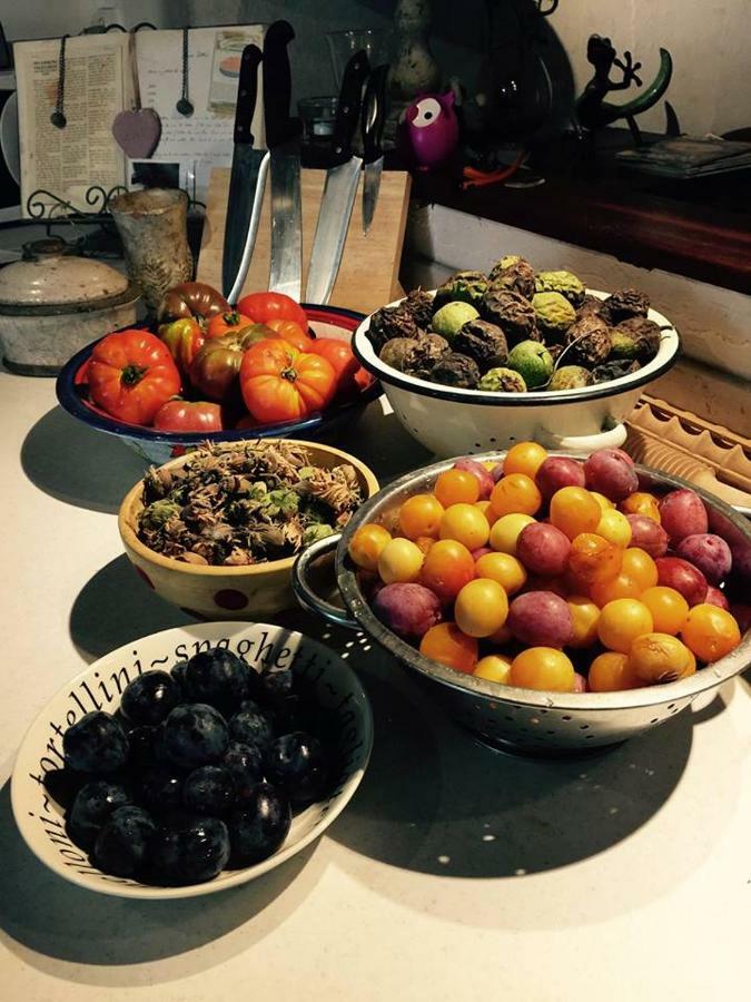 Le Peyrail Bed and Breakfast Les Lèves-et-Thoumeyragues Εξωτερικό φωτογραφία
